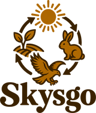 Skysgo