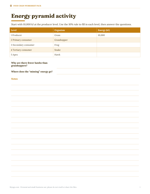 Preview of Printable Energy Pyramid Worksheet